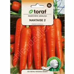 Marchew Nantese 2 Taśma 6m T 