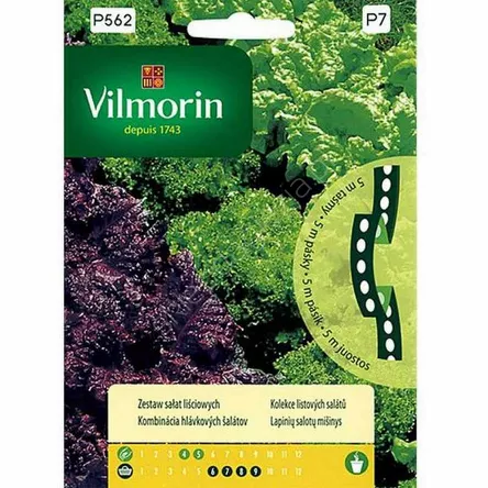Zestaw sałat liściowych taśma 5m Vilmorin
