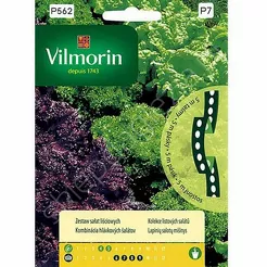 Zestaw sałat liściowych taśma 5m V