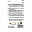 Cebula Globo - sałatkowa 1g Torseed