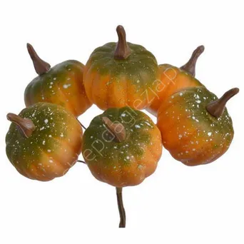 Pik Dynia 6szt