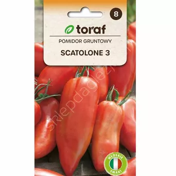 Pomidor gruntowy Scatolone 3  0,5g T 