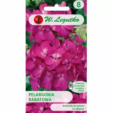 
Pelargonia rabatowa Gama F1 fioletowa 0,03g  L
