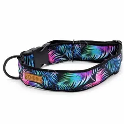 Obroża KenDog XS 1,5cm klamra Magia Koloru