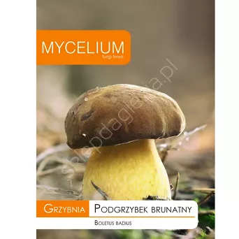 Grzybnia - Podgrzybek brunatny 10g