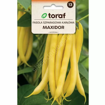 Fasola szparagowa żółta Maxidor 30g T