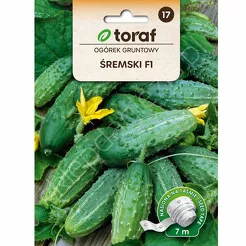 Ogórek Śremski Taśma 7m T 