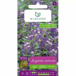 Smagliczka nadmorska liliowofioletowa 0,5g L