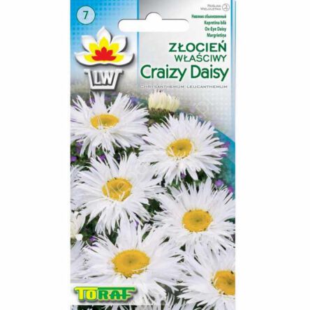 Złocień wielki Crazy Daisy biały 0,2g T