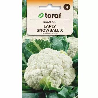 Kalafior Early Snowball X 1g T wczesny