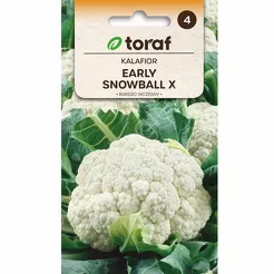 Kalafior Early Snowball X 1g T wczesny