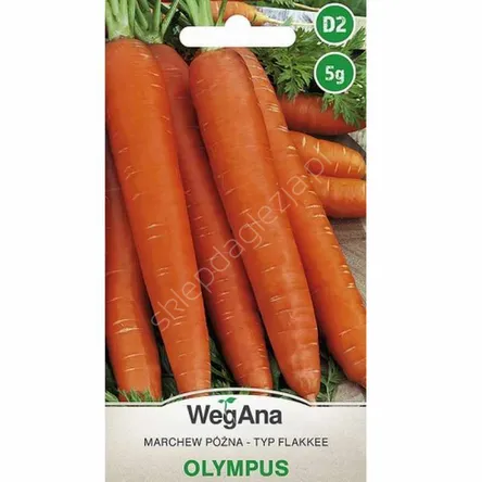 Marchew Olympus 5g W
