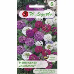 Pierwiosnek ząbkowany mieszanka 0,03g  L