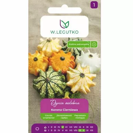 Dynia ozdobna Korona Cierniowa m. 1g  L