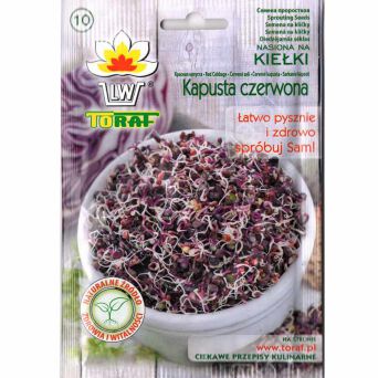 Nasiona na kiełki Kapusta czerwona 10g T