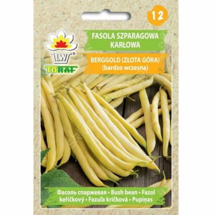 Fasola szparagowa żółta Berrgold karłowa 50g T