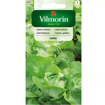 Sałata Lento 0,5g Vilmorin 