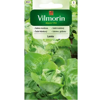 Sałata Lento 0,5g V 