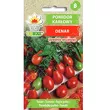 Pomidor Denar gruntowy 0,5g Toraf