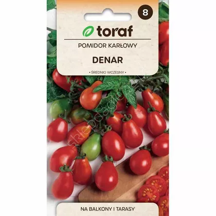 Pomidor Denar gruntowy karłowy 0,5g T