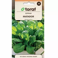 Szpinak Matador 5g T 