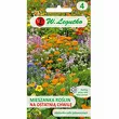 Mieszanka roślin jednorocznych na osta.chwil 1g  L