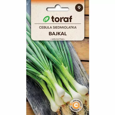 Cebula Siedmiolatka Bajkał 3g T