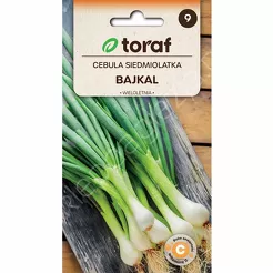 Cebula Siedmiolatka Bajkał 3g T 