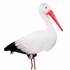 Bocian średni stojący