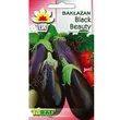 Bakłażan Black Beauty 1g Toraf 