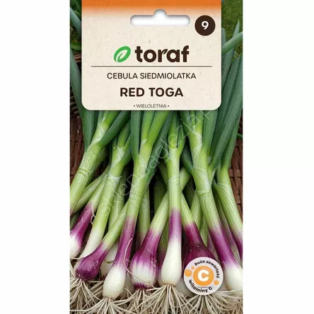 Cebula Siedmiolatka Red Toga 1g T