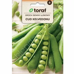 Groch Cud Kelwedonu siewny 50g T  