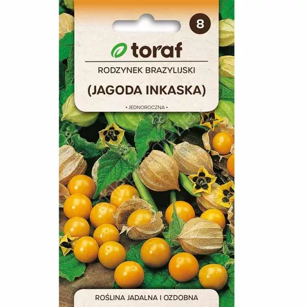 Rodzynek brazylijski 0,2g T