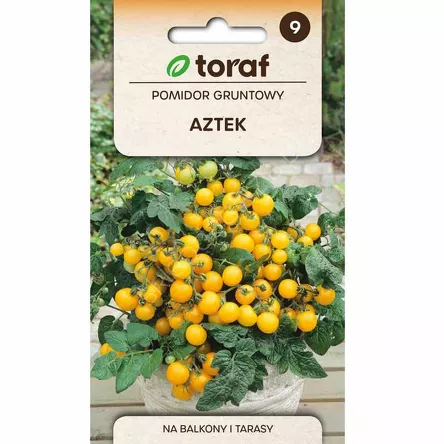 Pomidor koktajlowy żółty Aztek  0,3g T