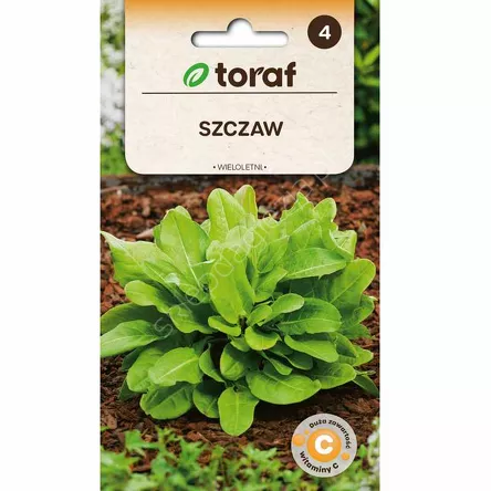 Szczaw zwyczajny Belwilski Lyoński 3g T