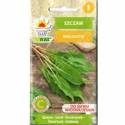 Szczaw zwyczajny Belwilski  Lyoński 3g T 