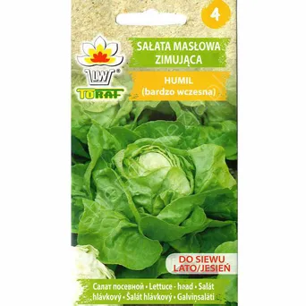 Sałata Humil 1g T