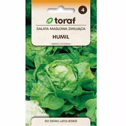 Sałata Humil 1g T