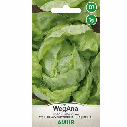 Sałata Amur 1g W
