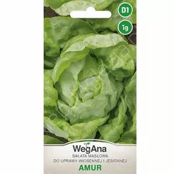 Sałata Amur 1g W 