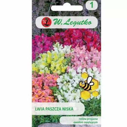 Lwia paszcza niska mix 0,5g L