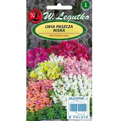 Lwia paszcza niska mix 0,5g L