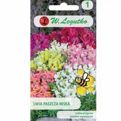 Lwia paszcza niska mix 0,5g L