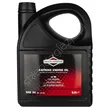 Olej 5,0l Briggs & Stratton SEA30 100009E