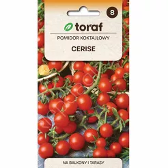 Pomidor koktajlowy Cerise  0,5g T 