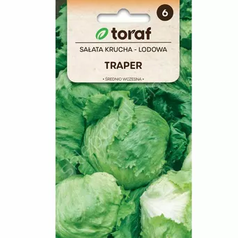 Sałata lodowa Traper 1g T 