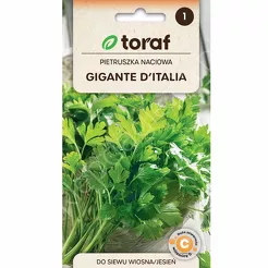 Pietruszka Gigante de Italia liściowa 2g T 
