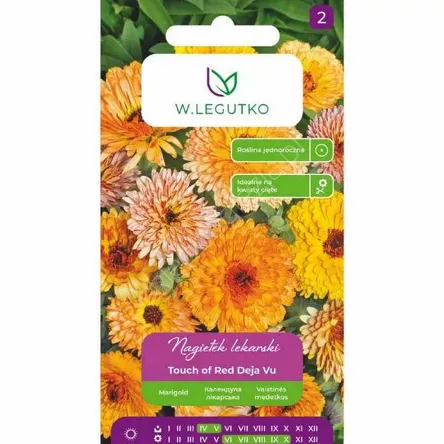 Nagietek lekarski Deja Vu mix 2g  L