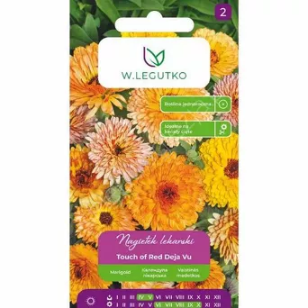 Nagietek lekarski Deja Vu mix 2g  L