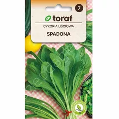 Cykoria liściowa Spadona 5g T 